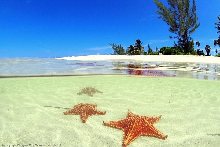 Starfish point